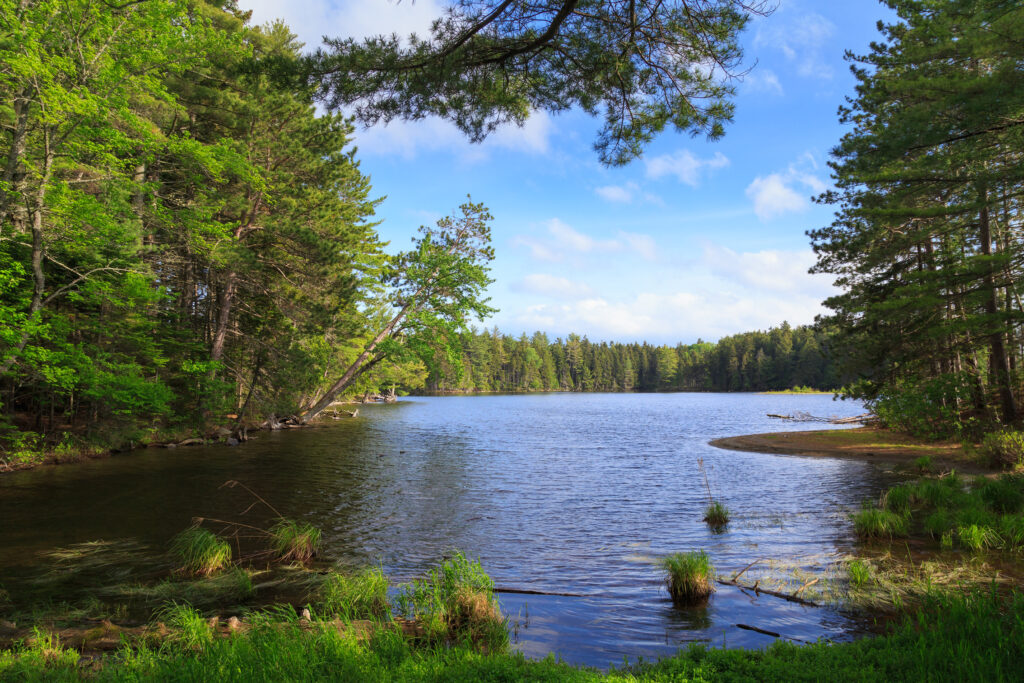 moosehead lake hotels