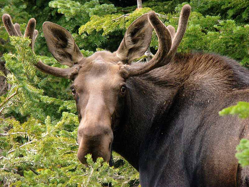 moosehead lake hotels